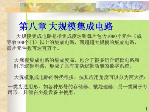 第八章 大规模集成电路
