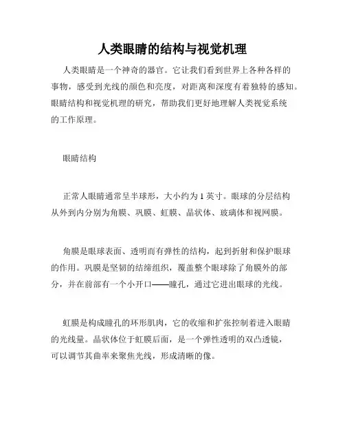 人类眼睛的结构与视觉机理