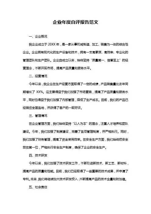 企业年度自评报告范文