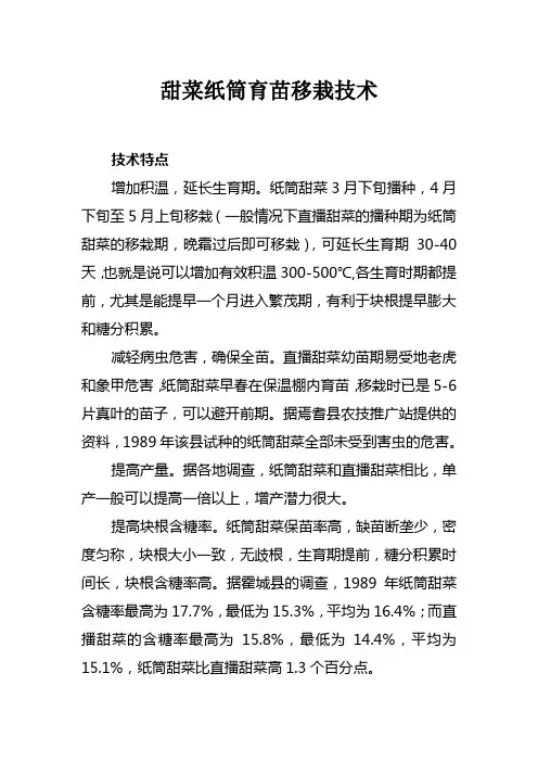 甜菜纸筒育苗移栽技术