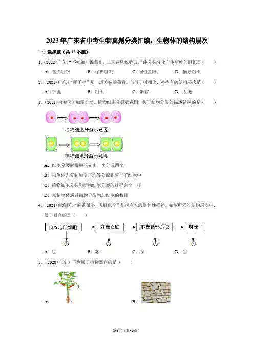 2023年广东省中考生物真题分类汇编：生物体的结构层次(附答案解析)