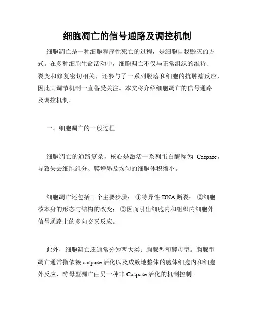 细胞凋亡的信号通路及调控机制