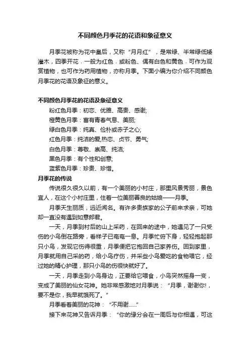 不同颜色月季花的花语和象征意义