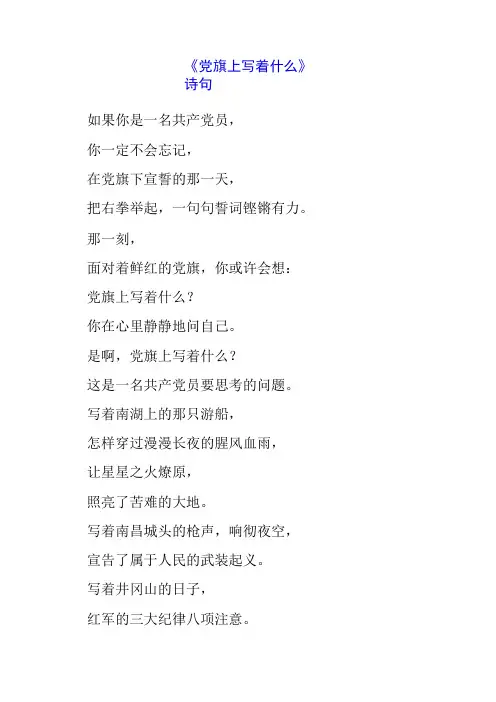 《党旗上写着什么》诗句