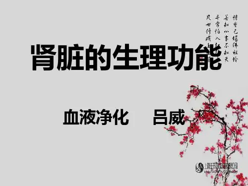 肾脏的生理功能