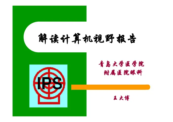 视野报告解读