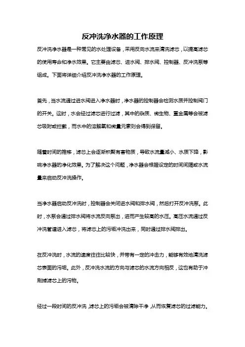 反冲洗净水器的工作原理