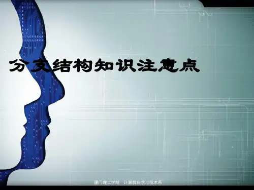 第04章 分支循环结构 注意事项