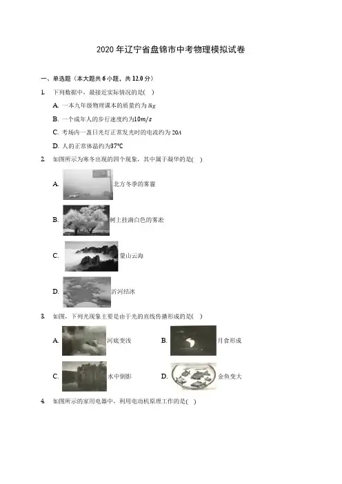 2020年辽宁省盘锦市中考物理模拟试卷 (含解析)