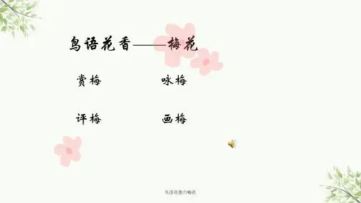 鸟语花香の梅花课件