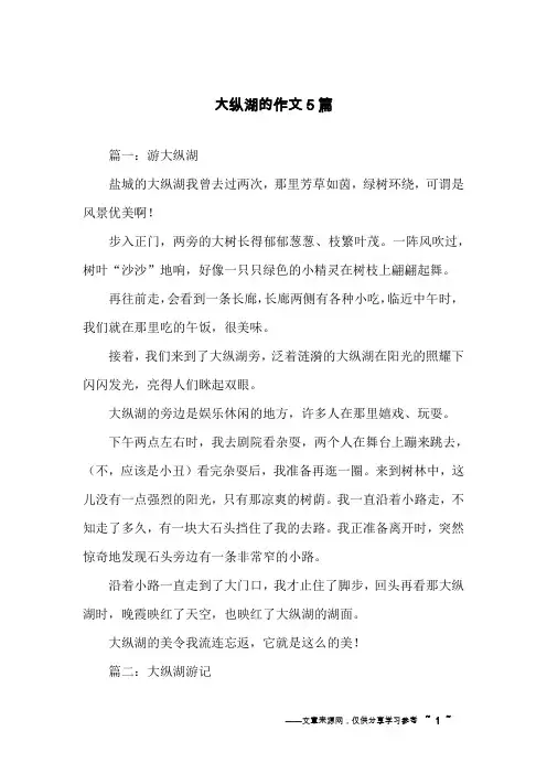 大纵湖的作文5篇