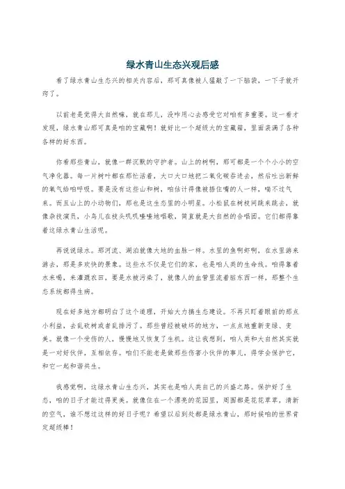 绿水青山生态兴观后感