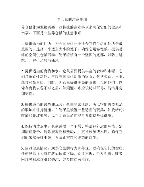 养仓鼠的注意事项