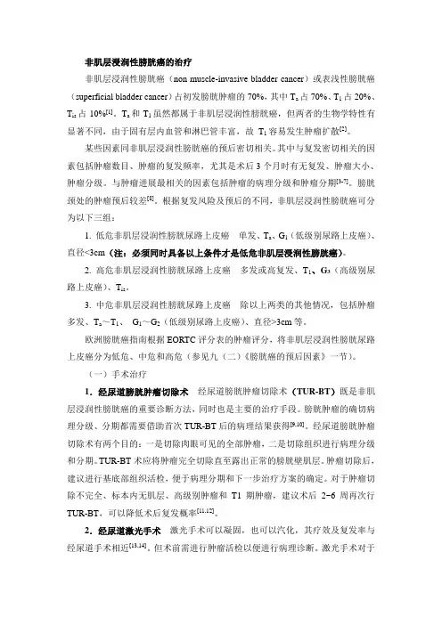 非肌层浸润性膀胱癌