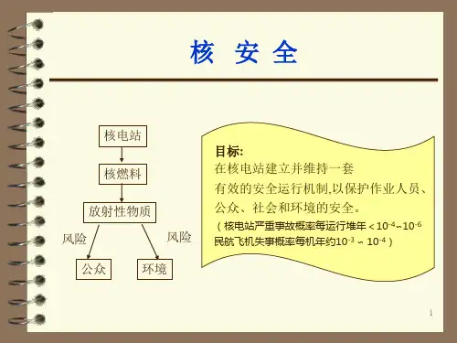 精选核电站设备管理与核安全控制