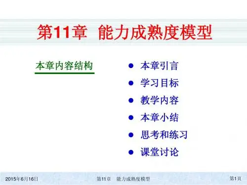 管理信息系统原理与应用(第三版)ch11简明教程PPT课件