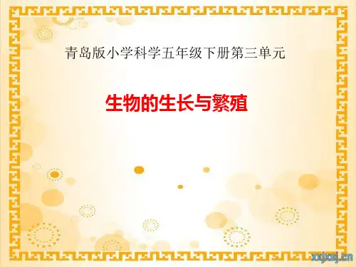 青岛版小学科学单元说课稿说课.ppt