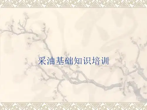 《采油基础知识培训》PPT课件