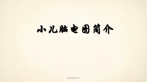 脑电图基础知识