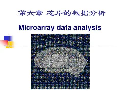第六章 芯片的数据分析