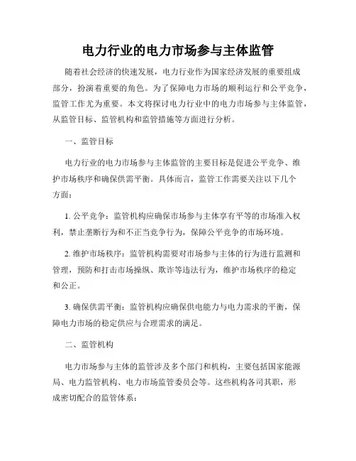 电力行业的电力市场参与主体监管