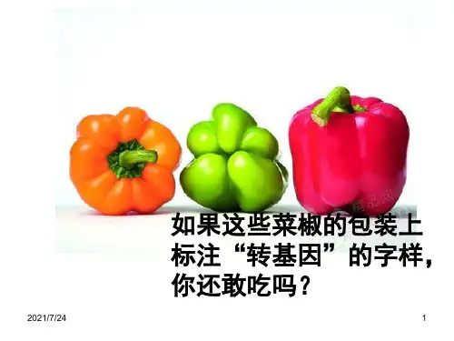 4.1-转基因生物的安全性-公开课PPT课件
