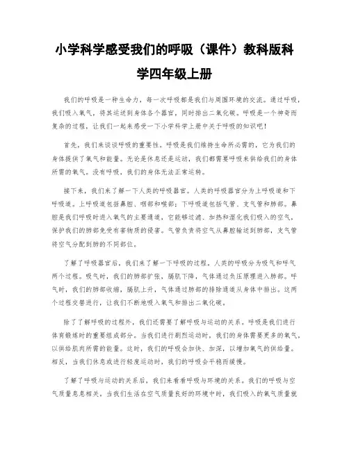 小学科学感受我们的呼吸(课件)教科版科学四年级上册