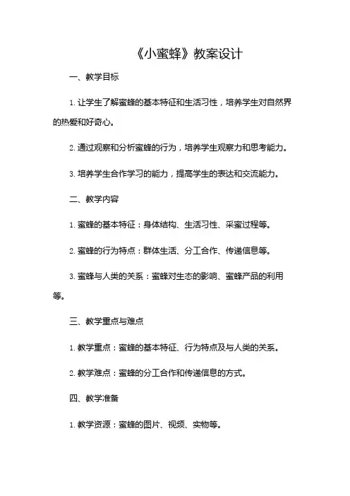 《小蜜蜂》教案设计