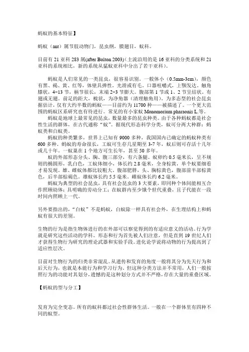 蚂蚁的基本特征