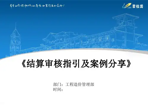 市政结算审核注意事项及案例分享