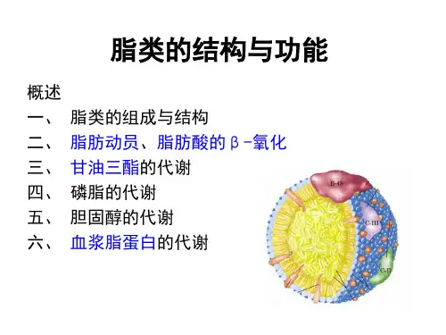 (完整版)脂类的结构和功能