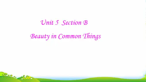 人教英语九全Unit 5 Section B(Beauty in Common Things)说课