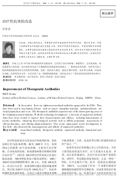 治疗性抗体的改造