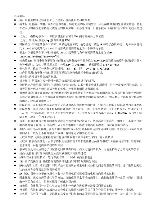 酶工程 重点