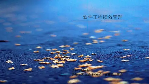 软件工程项目绩效管理