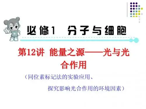 高考生物第一轮高频考点复习课件：第12讲 能量之源——光与光合作用(共93张PPT)