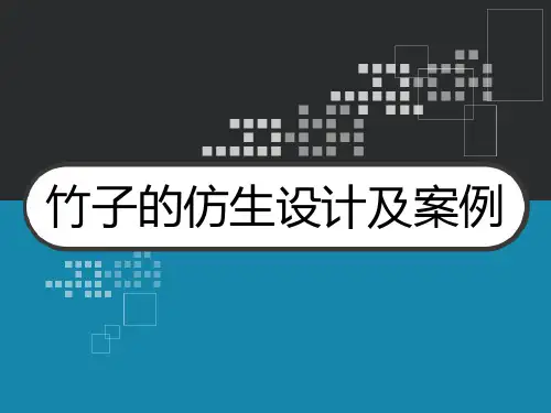 竹子的仿生设计及案例 PPT
