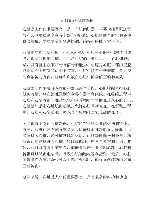 心脏的结构和功能