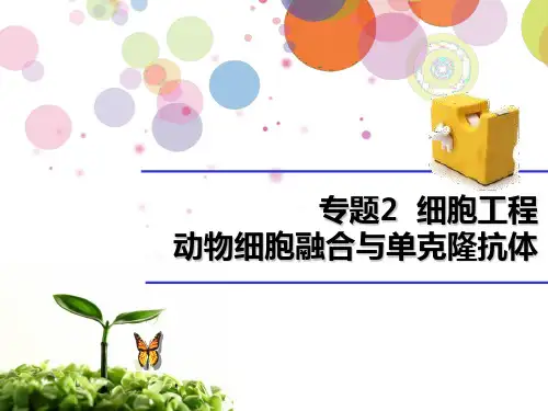 一轮选修三细胞工程-动物部分.ppt