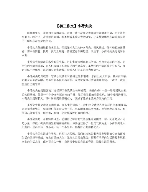 【初三作文】小荷尖尖