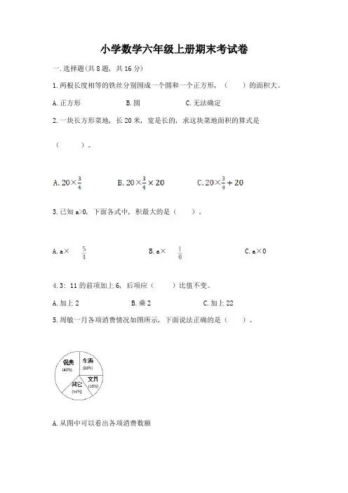 小学数学六年级上册期末考试卷含完整答案(夺冠)