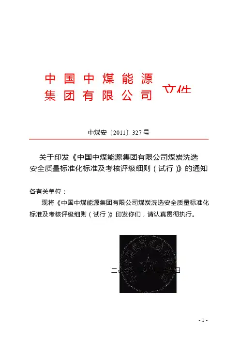 煤炭洗选安全质量标准化标准及考评细