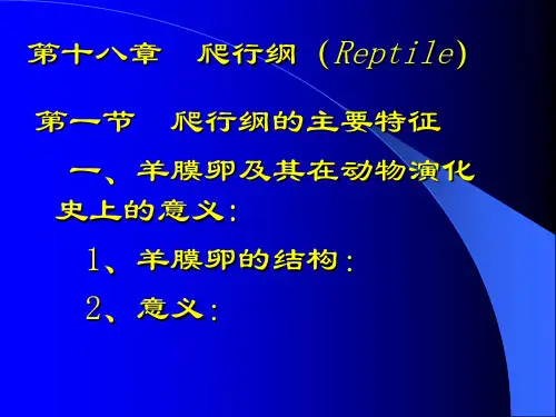爬行动物