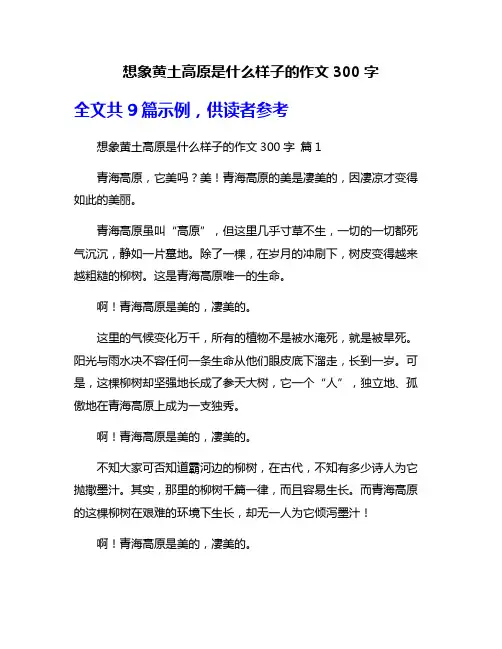 想象黄土高原是什么样子的作文300字