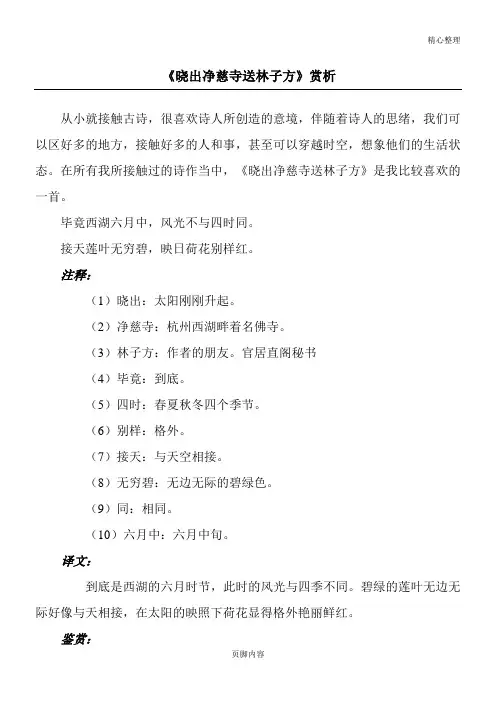 《晓出净慈寺送林子方》赏析