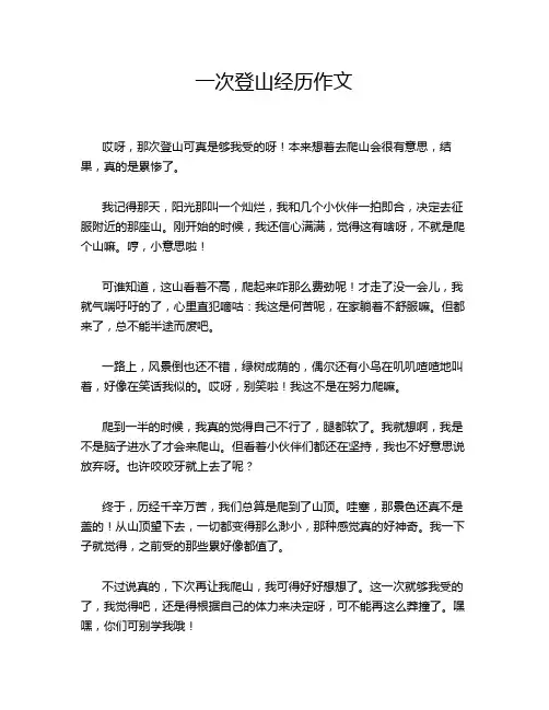 一次登山经历作文
