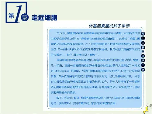 2019_2020学年新教材高中生物第一章第1节细胞是生命活动的基本单位课件新人教版必修第一册