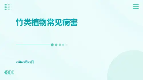 竹类植物常见病害
