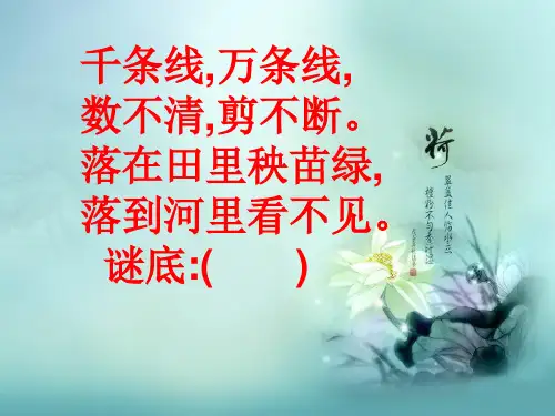 《雷雨》PPT实用课件部编版小学语文1