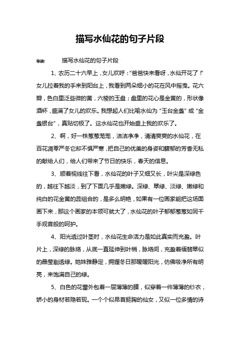 描写水仙花的句子片段